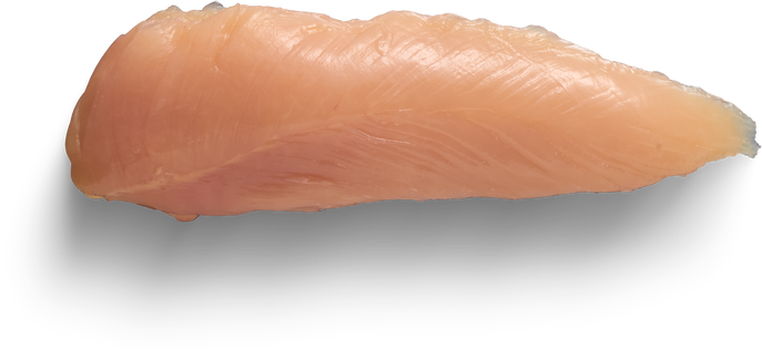 Isolated Cutout PNG