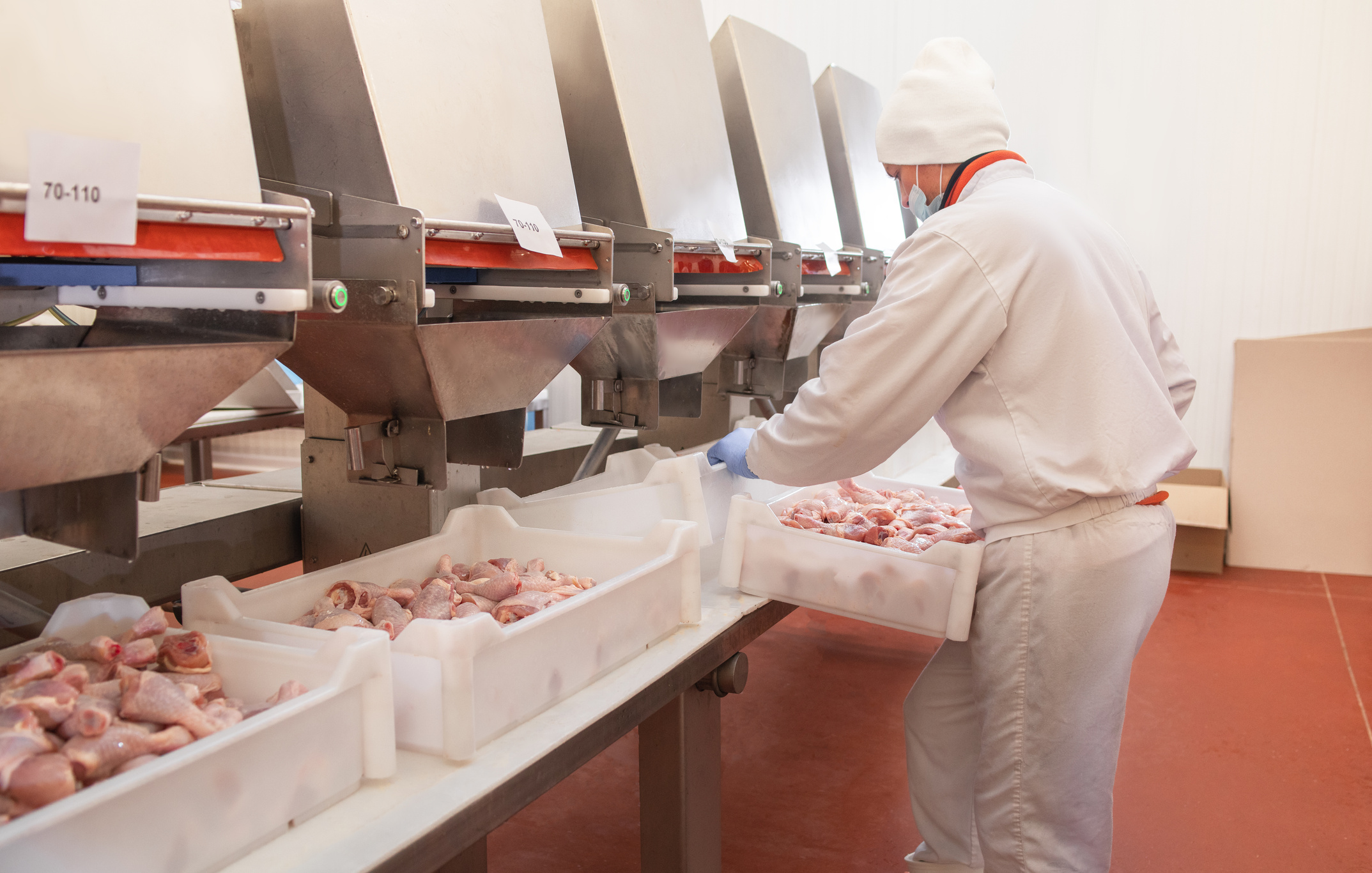 The meat factory. chicken on a conveyor belt.meat processing plant.meat processing plant assembly line.People working at a chicken factory - stock photo.